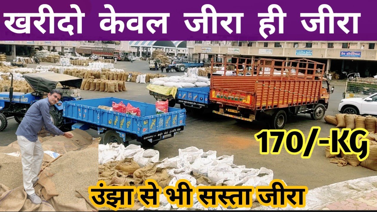 अब जीरा खरीदें केवल 170/Kg.| देखो live auction | Best wholesale business ideas || 2024 ||