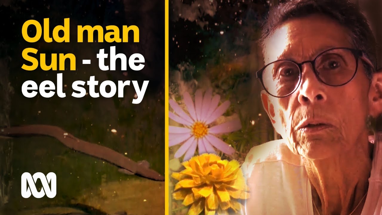 Old man sun is eel season on Boonwurrung country | NAIDOC Week | ABC Australia