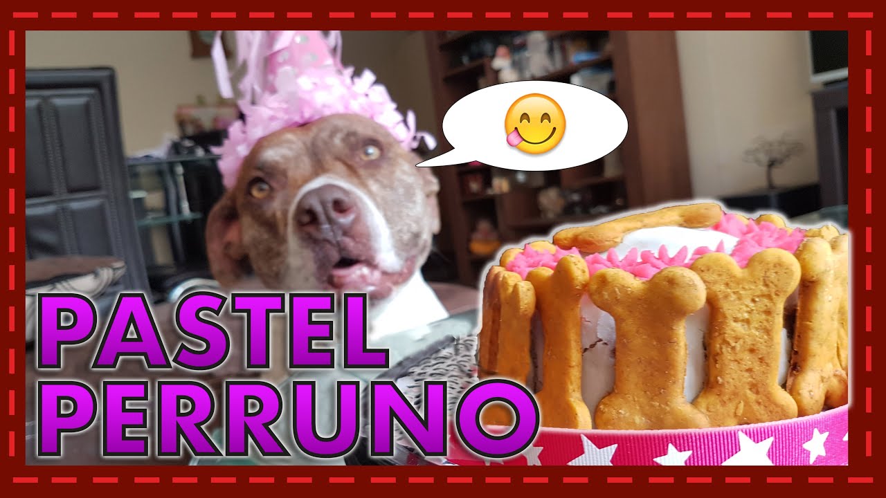 ¡Celebra a tu peludo con un delicioso pastel de Festín Canino!