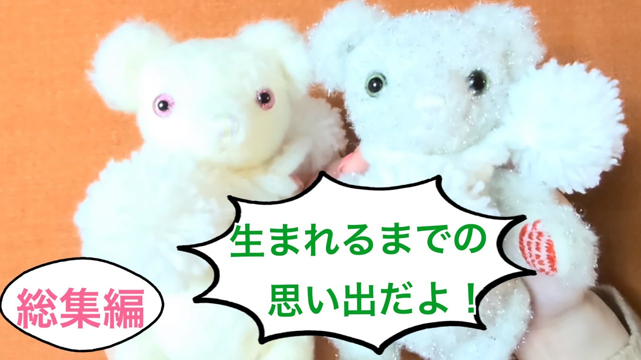 【総集編】ゆきんこちゃん