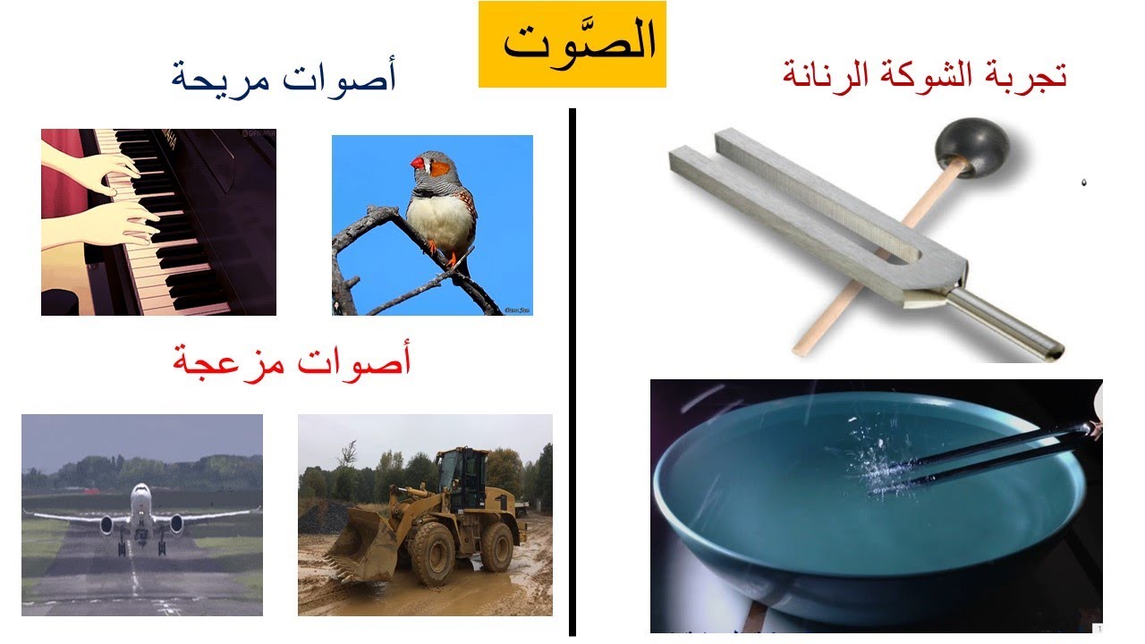 الصوت / علوم للصف الرابع / فهيمة ربيع