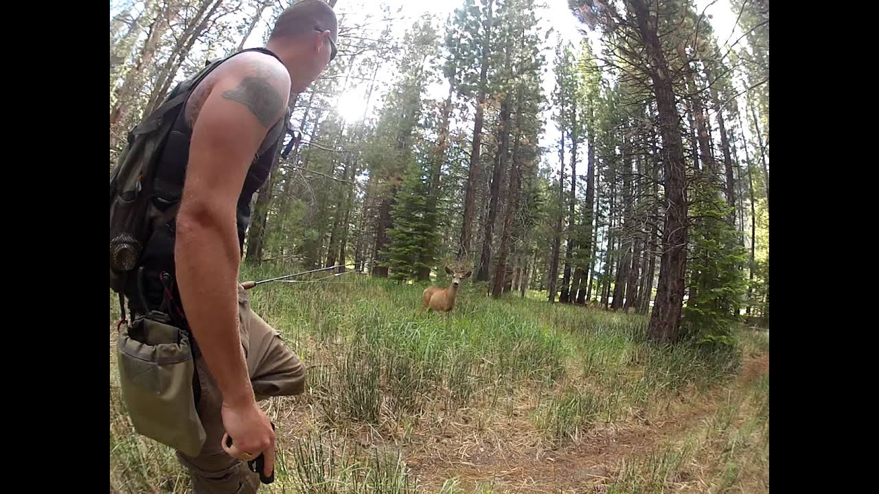 Crazy Deer Attack