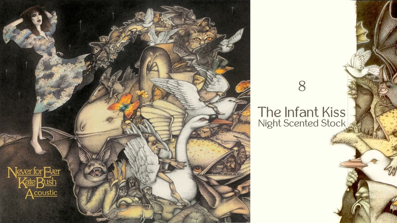 Kate Bush - Never For Ever (acoustic): 8 - The Infant Kiss (acoustic)/Night Scented Stock
