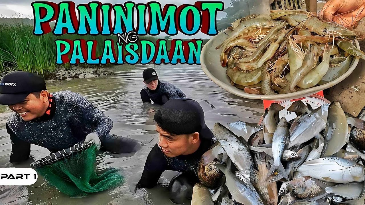 P1-Paninimot ng Palaisdaan - EP1091