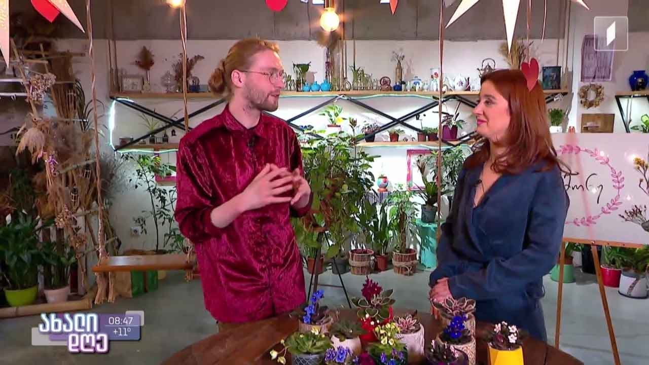 რუბრიკა „მცენარეების მეგობარი“ - როგორ ავაყვავოთ იები