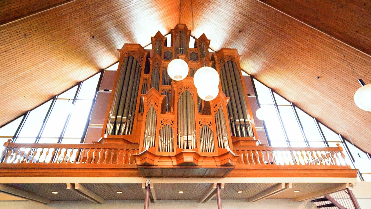 The ORGAN of the KANDELAARKERK Heemse (NL) - FULL ORGAN DEMONSTRATION / Tour of Stops - Paul Fey