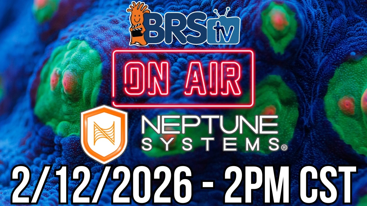 LIVE Reef Tank Q&A with BRStv & Neptune Systems! 2/12/2026, 2PM CST
