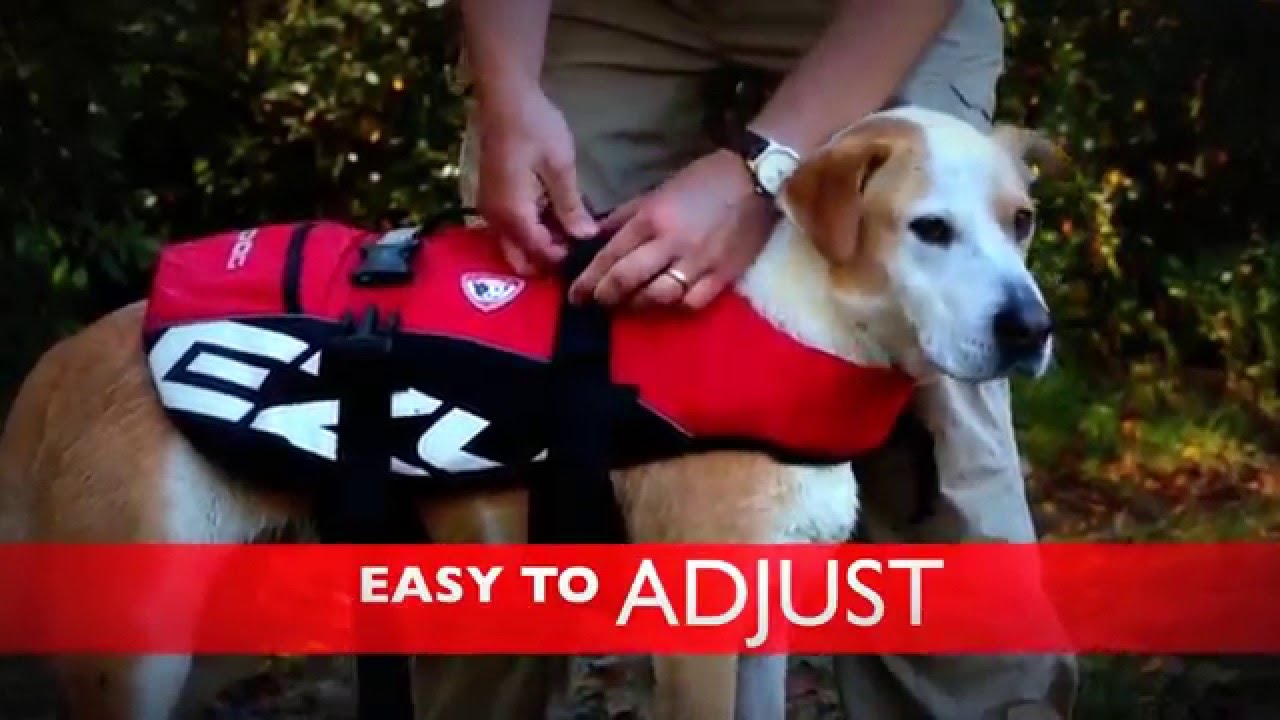 Dog Life Vest Flotation Device