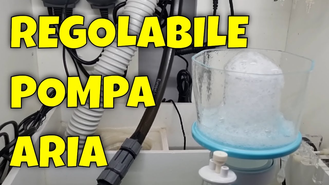 SKIMMER di Prova Per Il Mio ACQUARIO MARINO