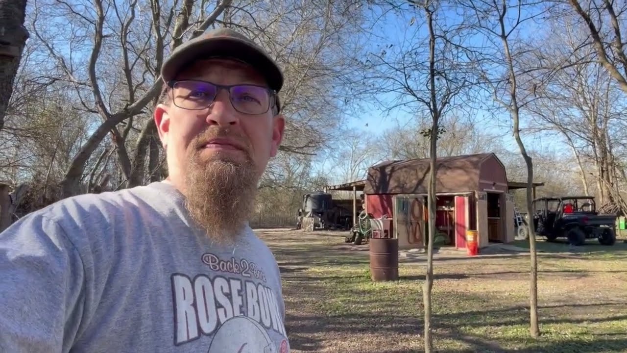 Debarking logs! Is it worth the time to do it? 