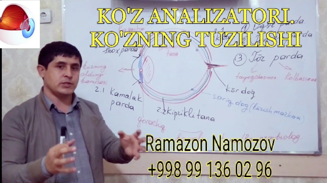 Ko'rish analizatori. Ko'z. Ramazon Namozov. Termiz Sh (99)1360296