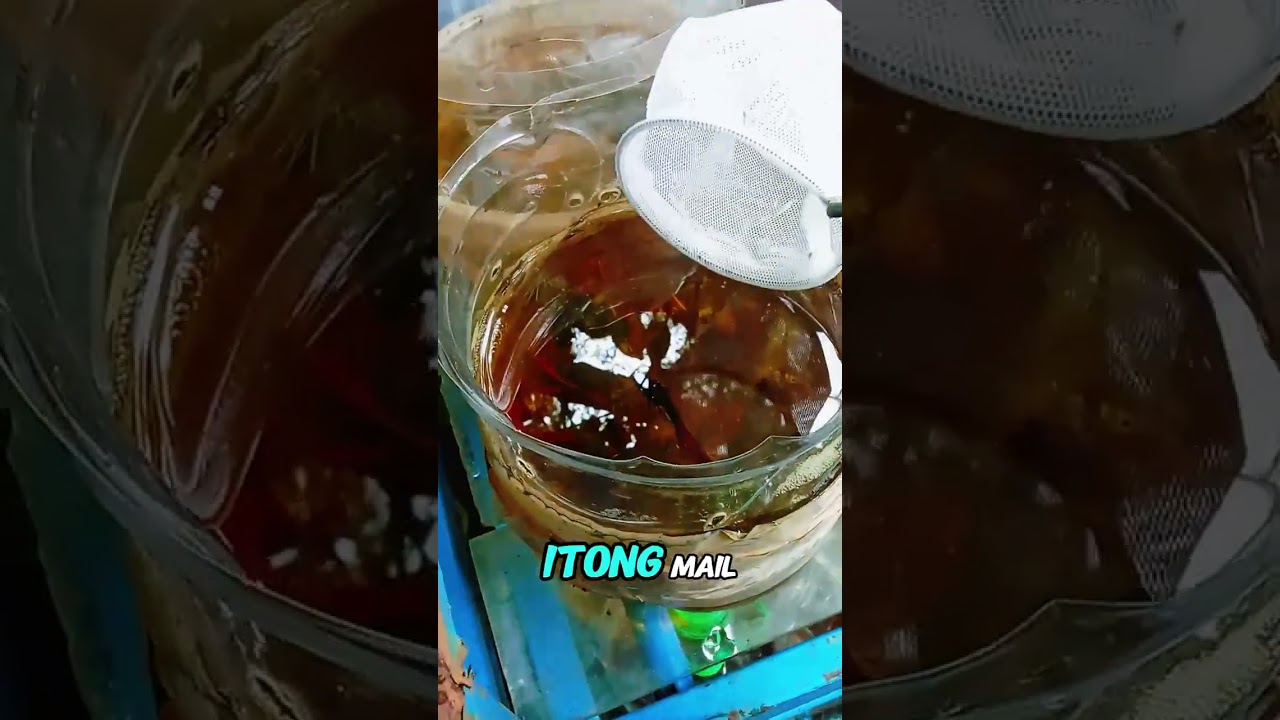 Part 1: Crown tail breeding. 🐟🐠✌️#betta #bettafish #fish #fishing #reels #fishkeeping #fishkeeper
