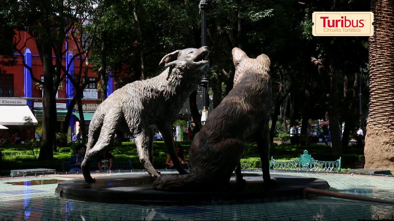 Circuito Sur - Turibus CDMX