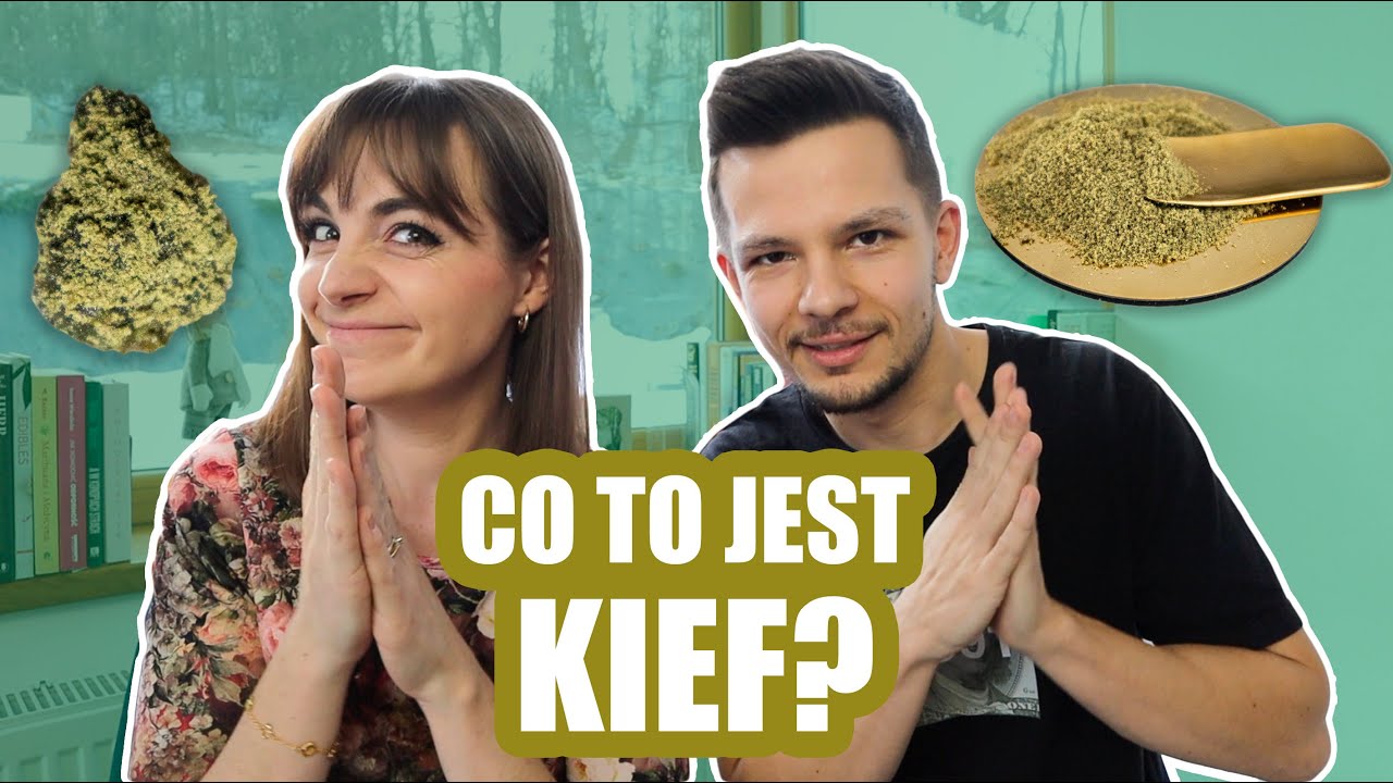 💚 KIEF (KEEF) &ndash; WHAT IS IT, HOW TO COLLECT IT AND WHAT TO DO WITH IT? 🍀