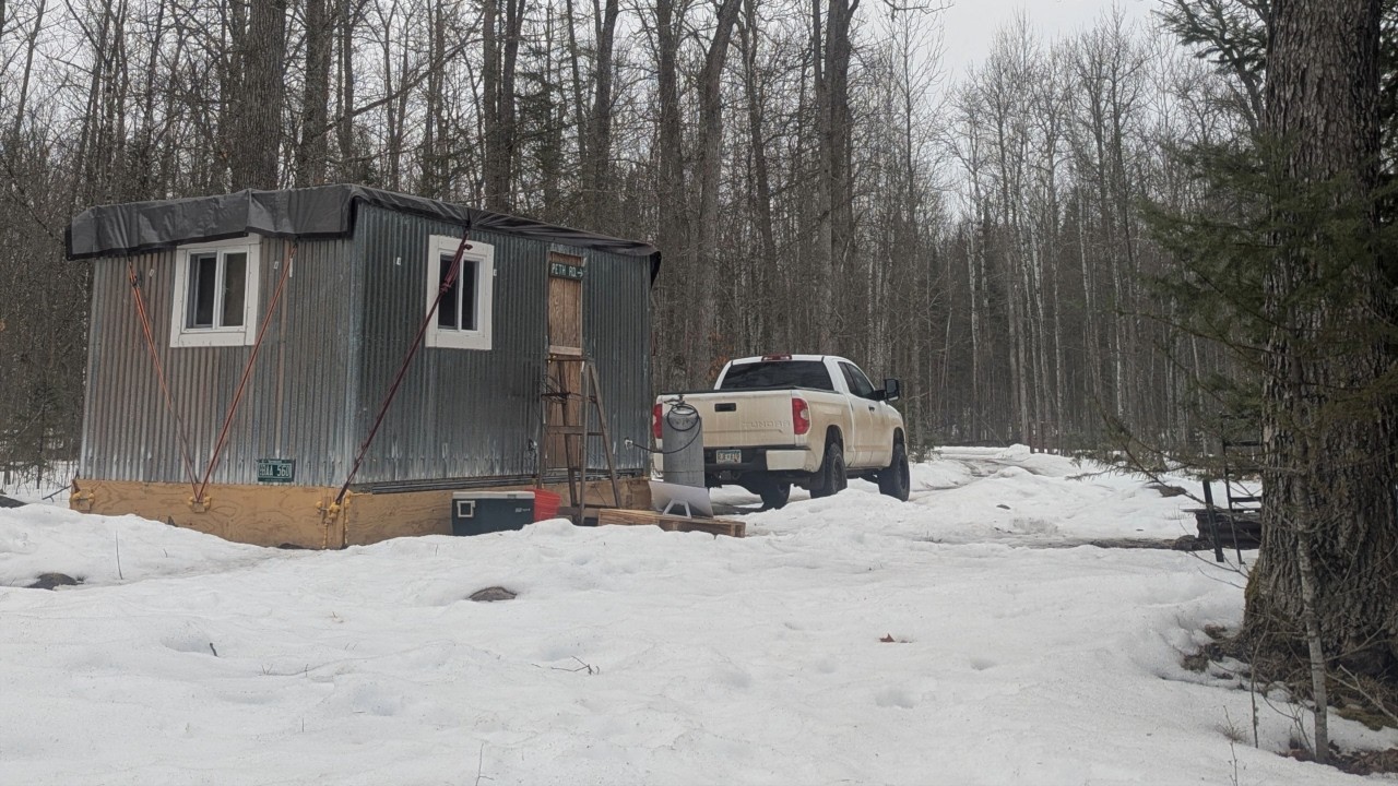 Spring is Coming! | Surviving my First Winter Off-Grid on my Raw Land  in my Temp. Tiny House (EP7)