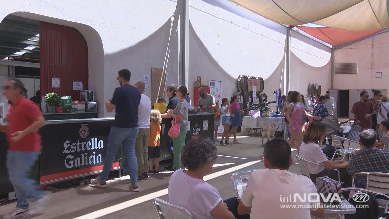 Paella solidaria