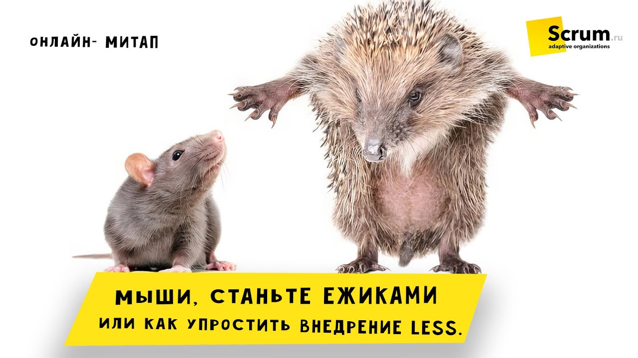 Митап:  Мыши, Станьте Ежиками Или Как Упростить Внедрение LeSS