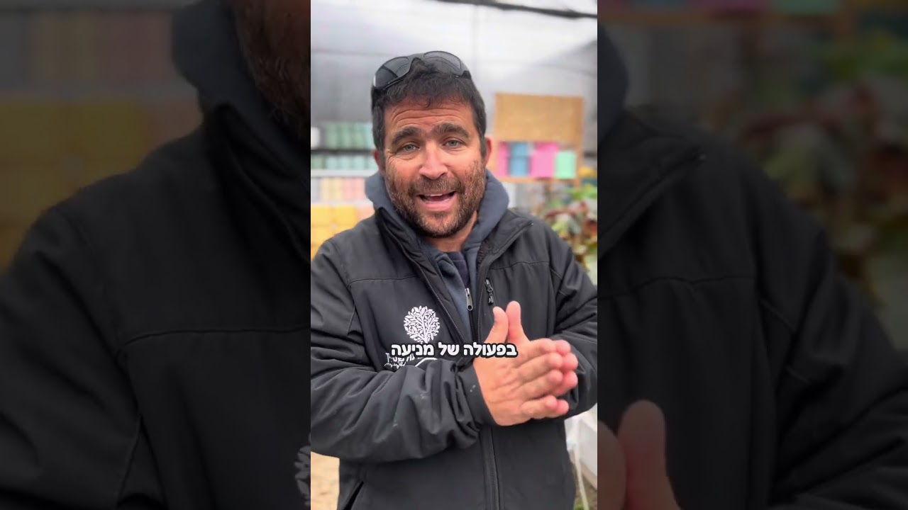 איזה צמחים צריך לגפר? מה גשם עושה לגיפור? ולמה חשוב להזמין במקום מקצועי - כל התשובות מחכות לכם כאן