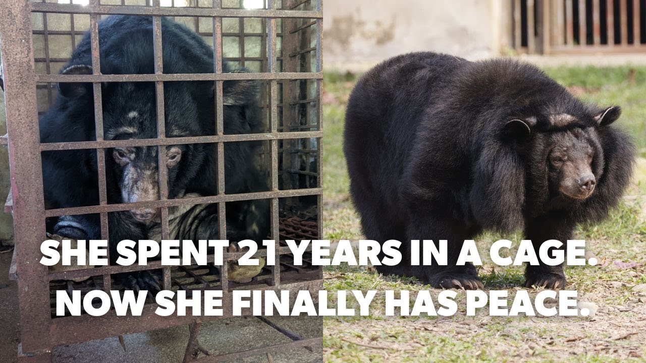 She Spent 21 Years in a Cage. Now She Finally Has Peace.