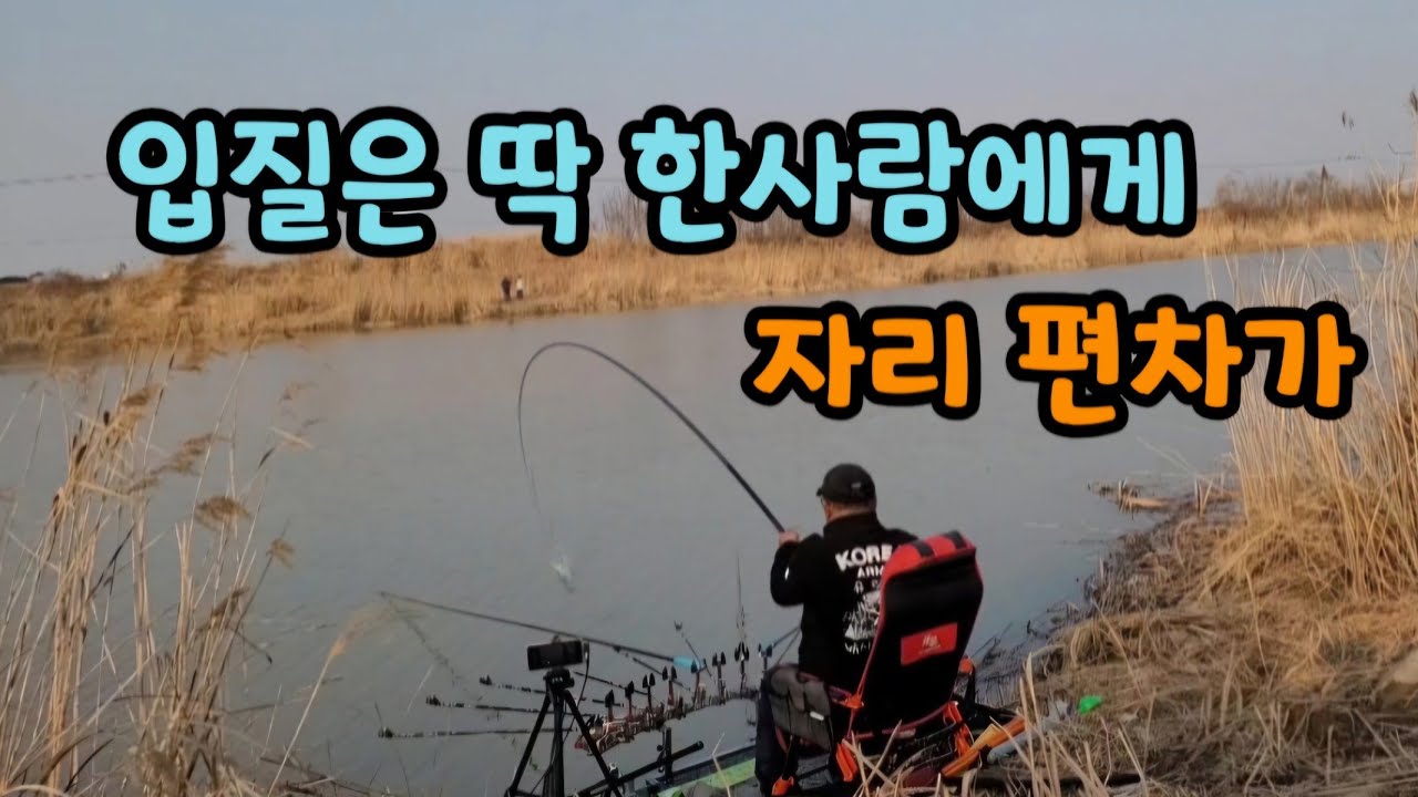 철수후 다음날 터졌답니다 #양장리수로 #영암학산천 #붕어낚시 