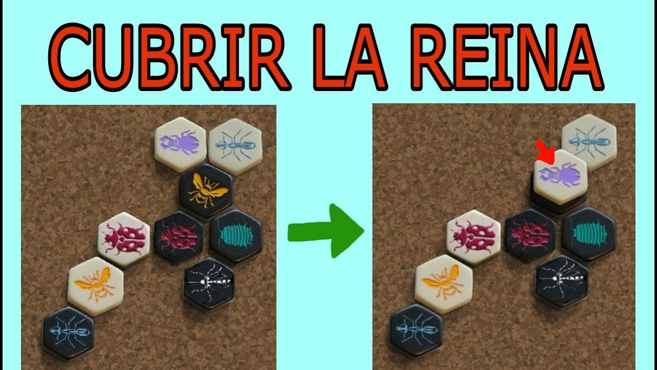 Cubrir la Reina | Métodos para ganar en Hive #1
