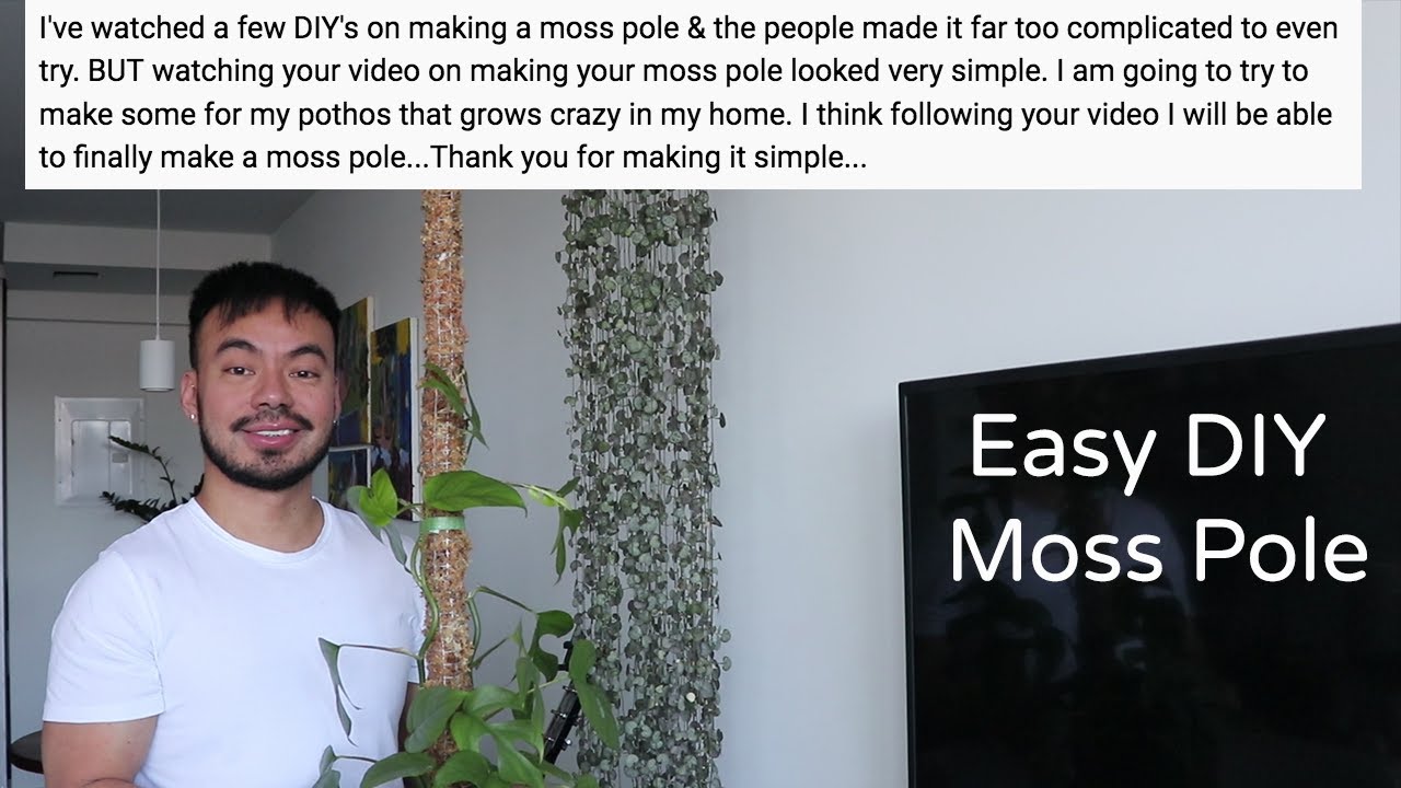Houseplant DIY: Making a Moss Pole for My Climbing Plants