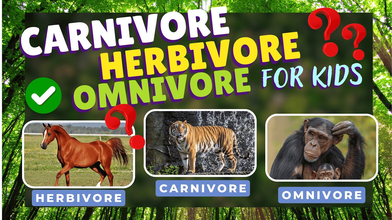 Carnivore, Herbivore, or Omnivore? guessing game for kids