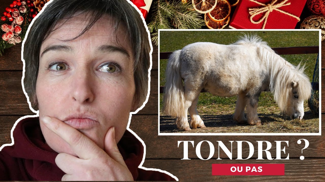 Faut-il tondre un cheval qui vit au pré ? 🐴❄️