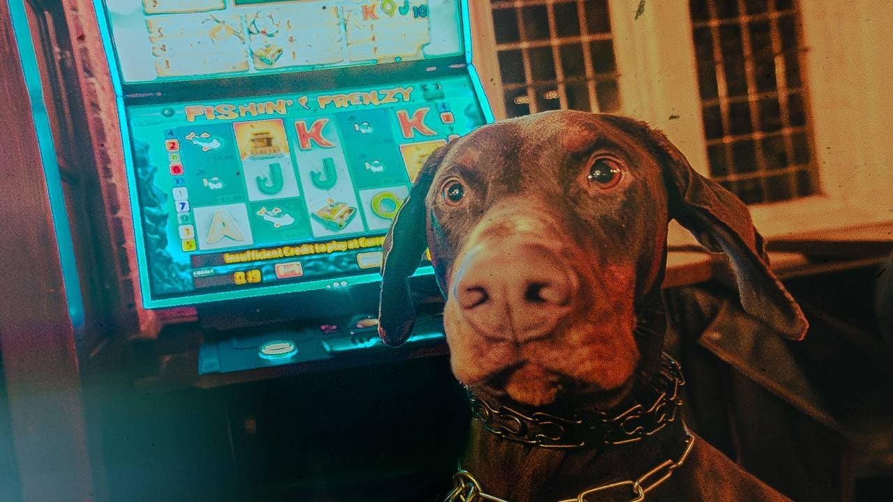 CARSICK - Pub Watch (Official Music Video)