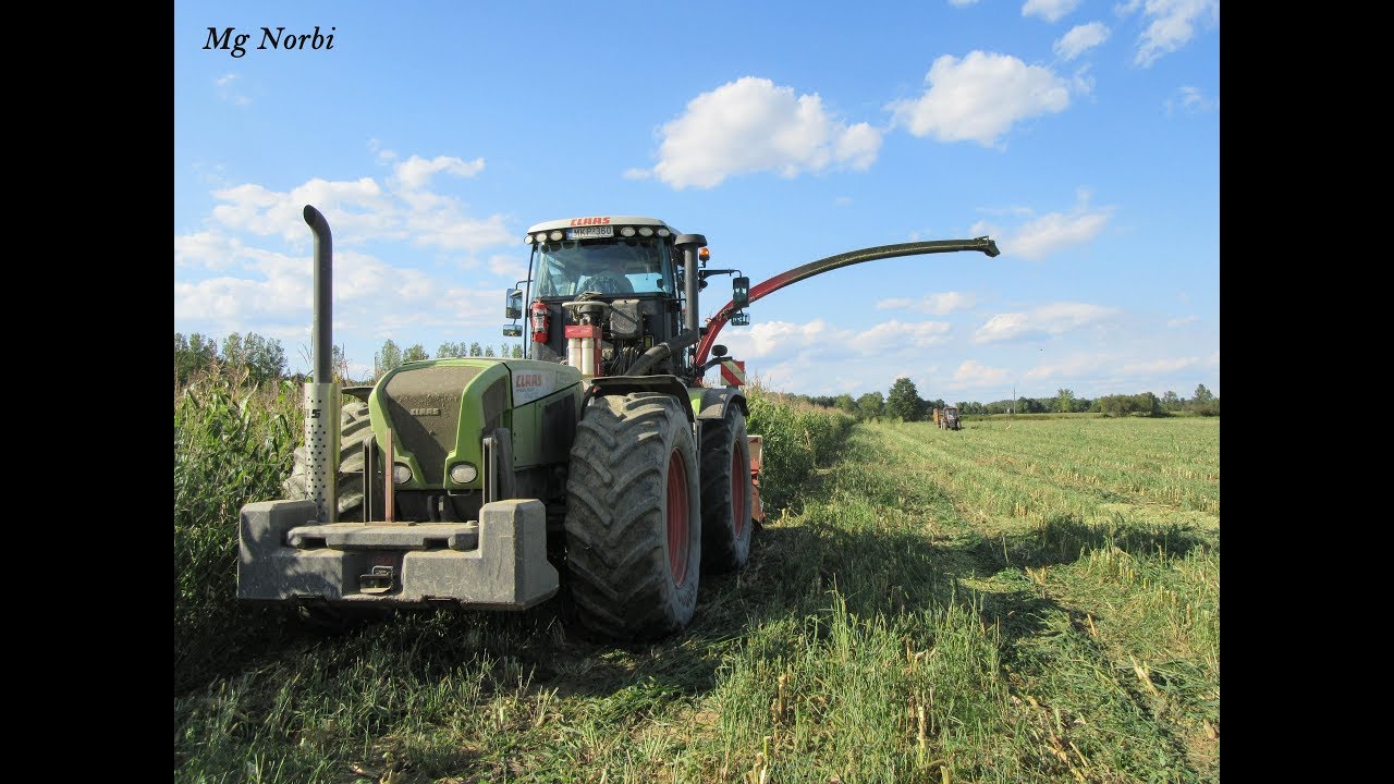 Pinkamenti Agrár Kft. 2017 - Kukorica silózás (Claas Xerion + Kemper Champion 3000)