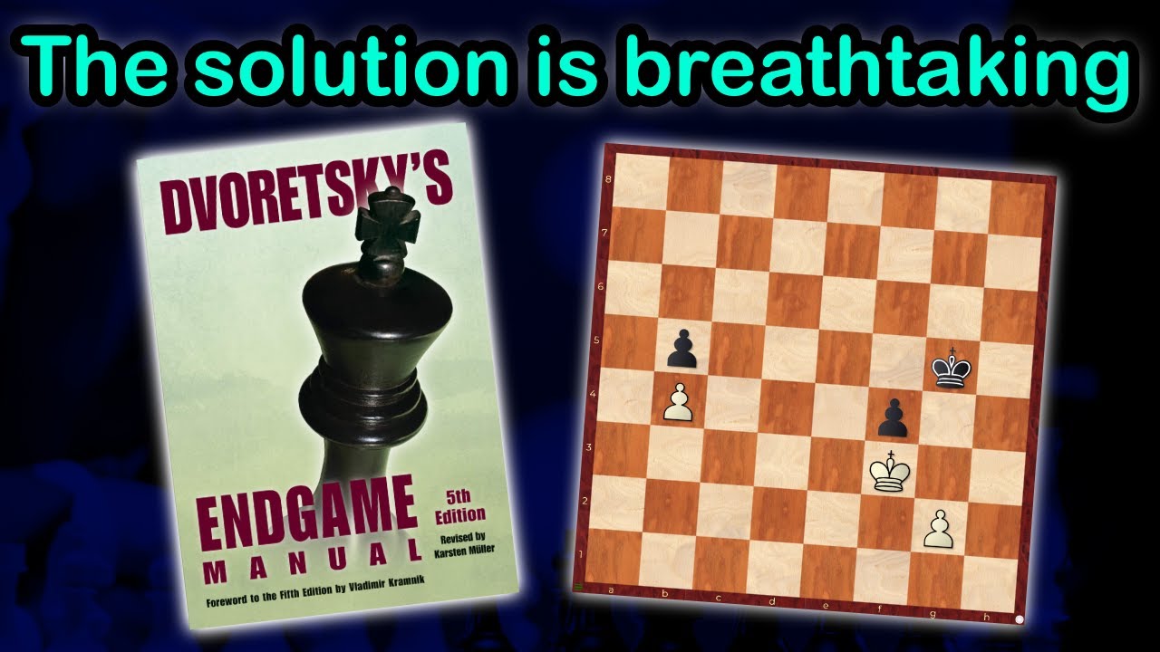 Study Chess with Me: Endgame exercises with stunning solutions