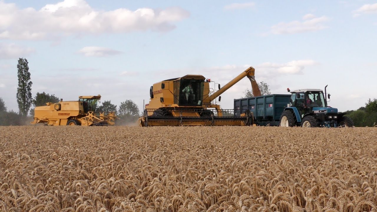Classic New Holland TF44 and Clayson 8060 combines working together | 1995 Ford 8340 SLE carting