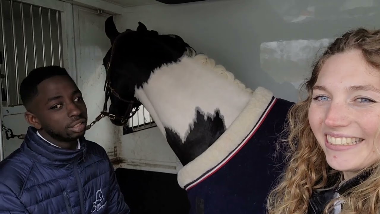 Vlog #75 HK Barock Pinto
