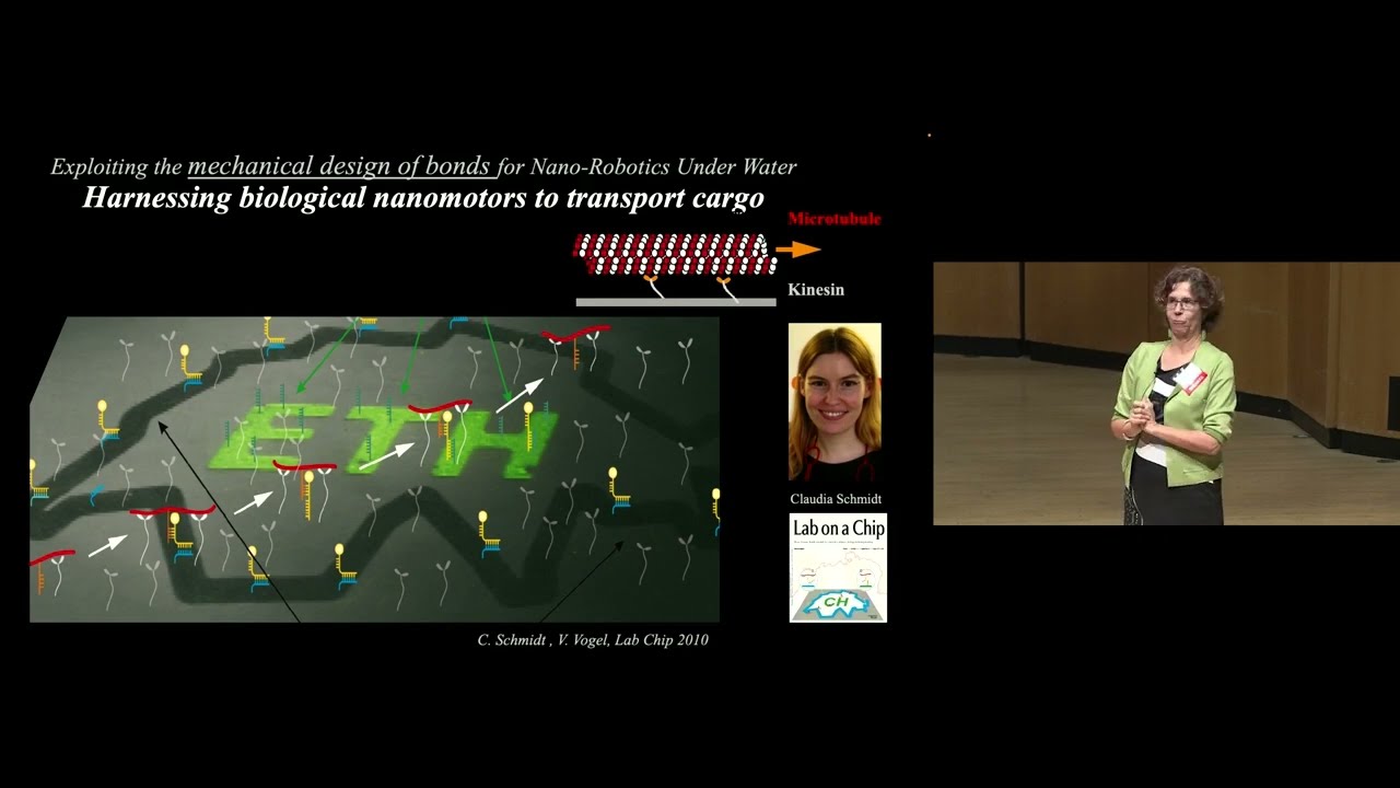 2023 Rosemary Schnell IIN Symposium - 