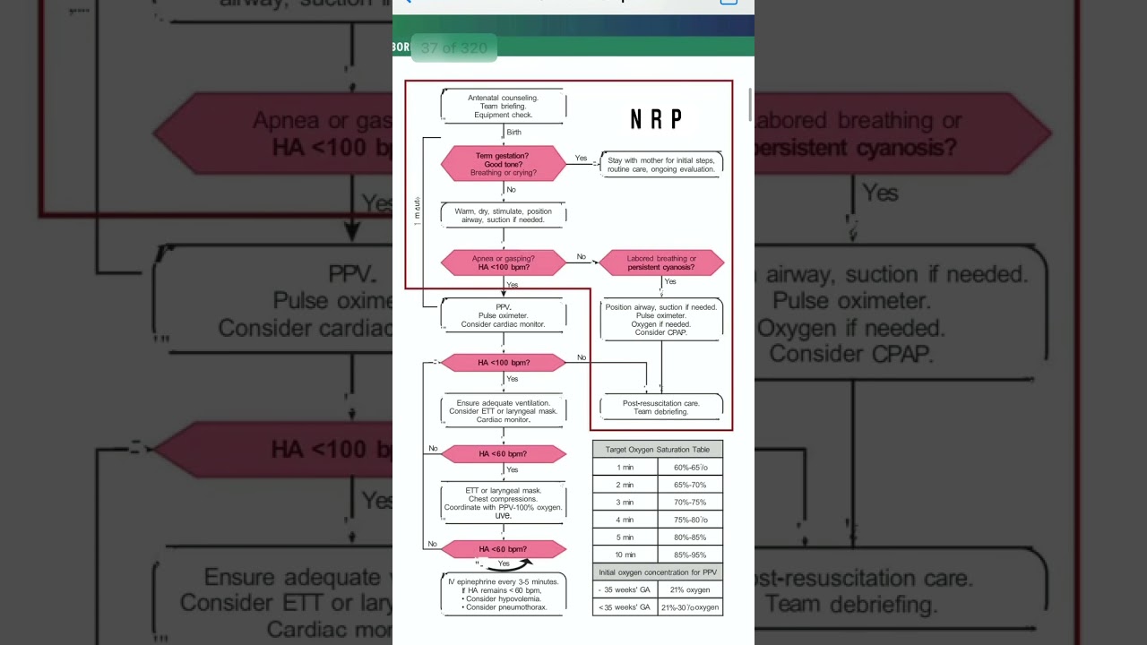 Neonatal resuscitation protocol algorithm #pediatricsbydranand