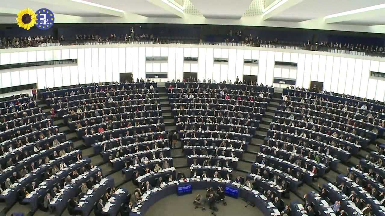 Real fisheries reform - Greens celebrate vote for sustainable CFP