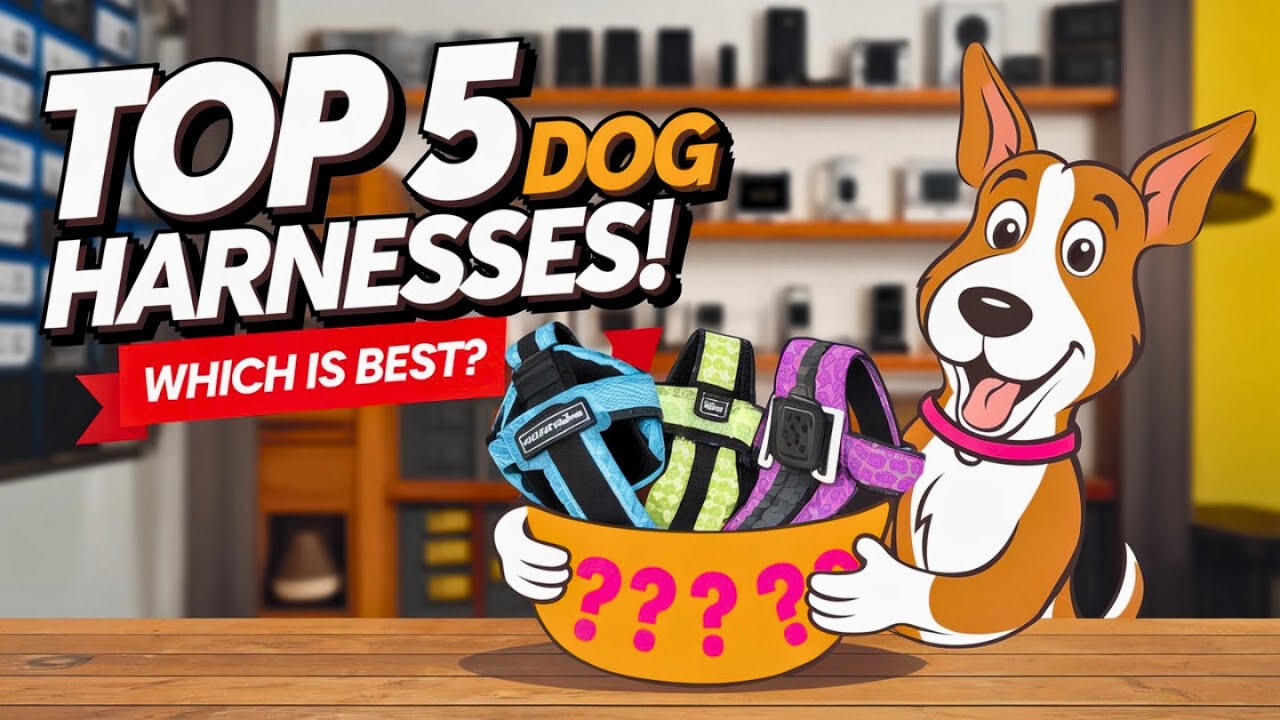 Top 5 Dog Harnesses Put to the Test: Which One is Best for Your Pup?