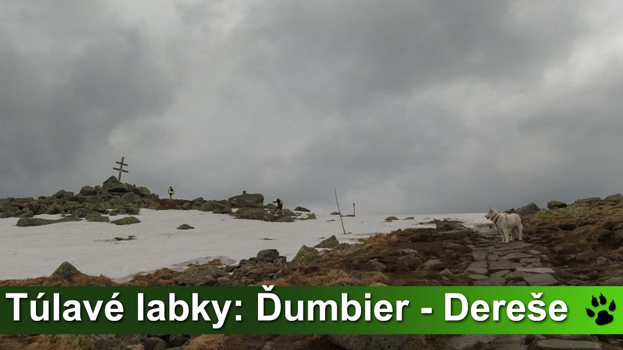 Túlavé labky: Ďumbier - Dereše