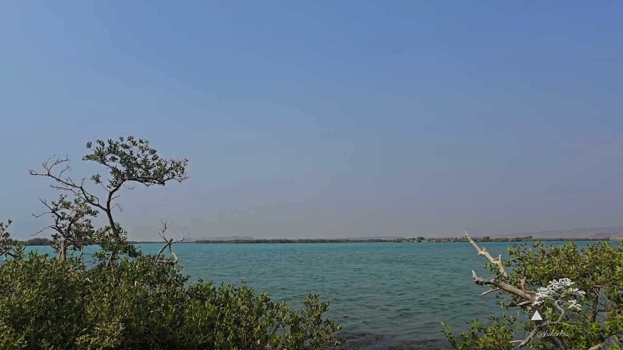 7 Minutes of Al Qahma’s Turquoise Coastline | Mangroves & Serenity | HikerKSA