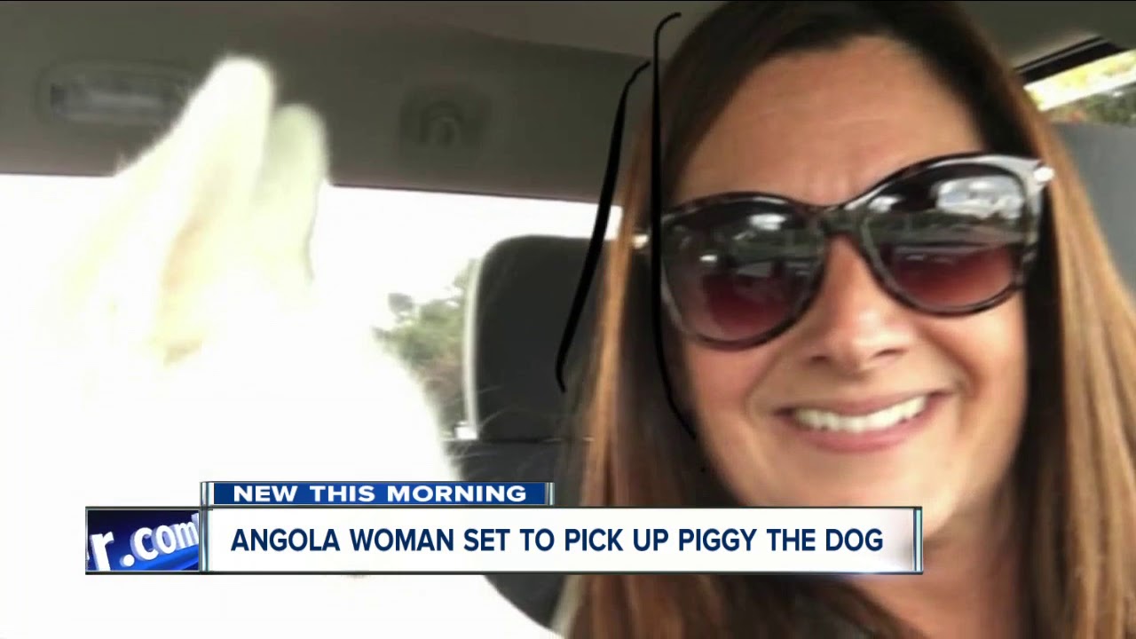 Angola woman set to pick up abused war pup from Buffalo airport Monday