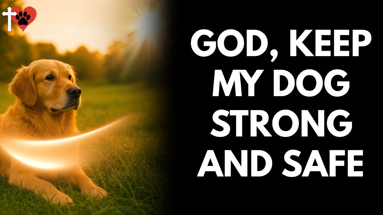 Prayer for Your Dog&rsquo;s Health and Long Life &ndash; Speak God&rsquo;s Blessing Today &ndash; prayer for dog