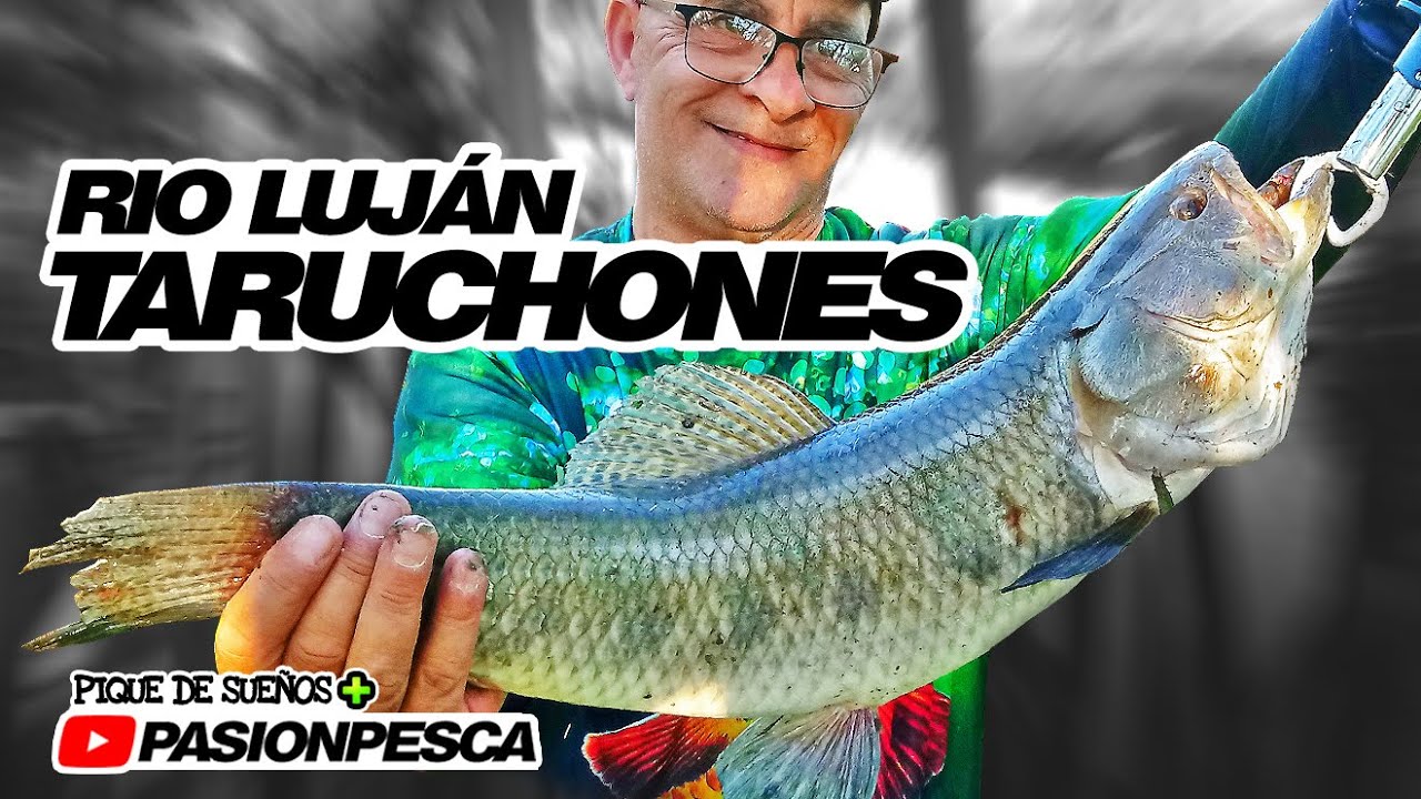 PASIONPESCA | Pesca de Taruchones en Rio Luján | Salida con Pique de Sueños | Parte 2