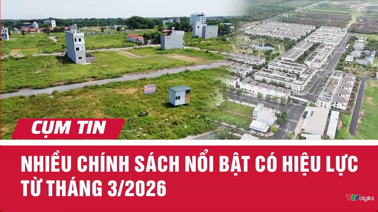 Nhiều chính sách nổi bật có hiệu lực từ tháng 3/2026 | Cụm tin | VTV24