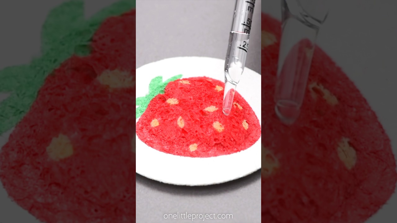 3D Sponge Canvas 🍓 🍇 🥑