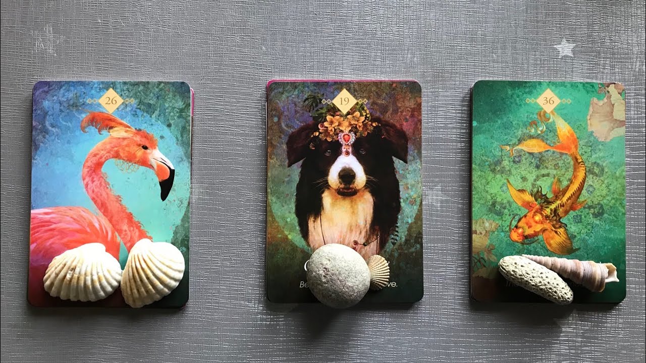 Pick a Card Hindi | When Will You Meet your Future Husband/ Wife, Their Personality | Reyas Tarot 🔮