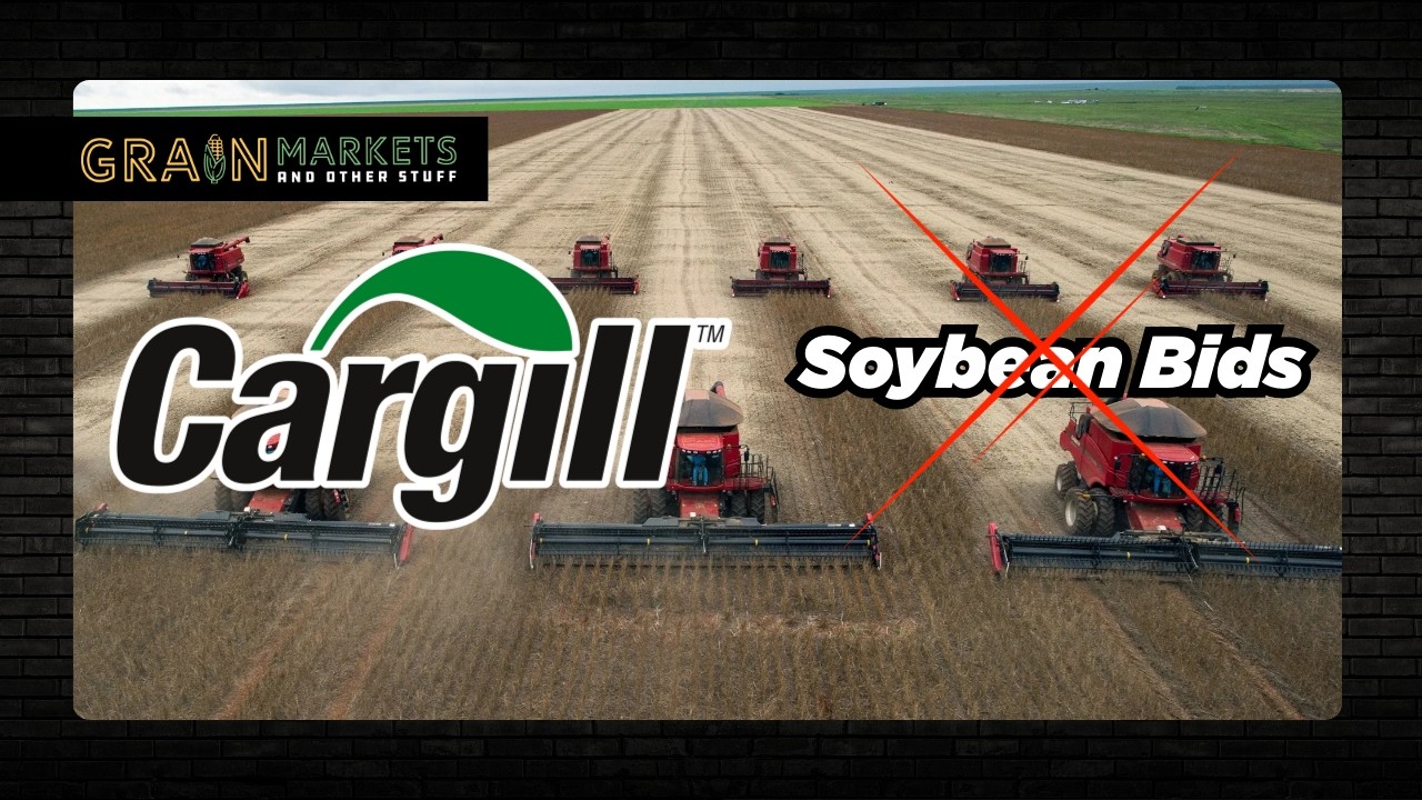 Почему компания Cargill прекратила закупать сою у бразильских фермеров?
