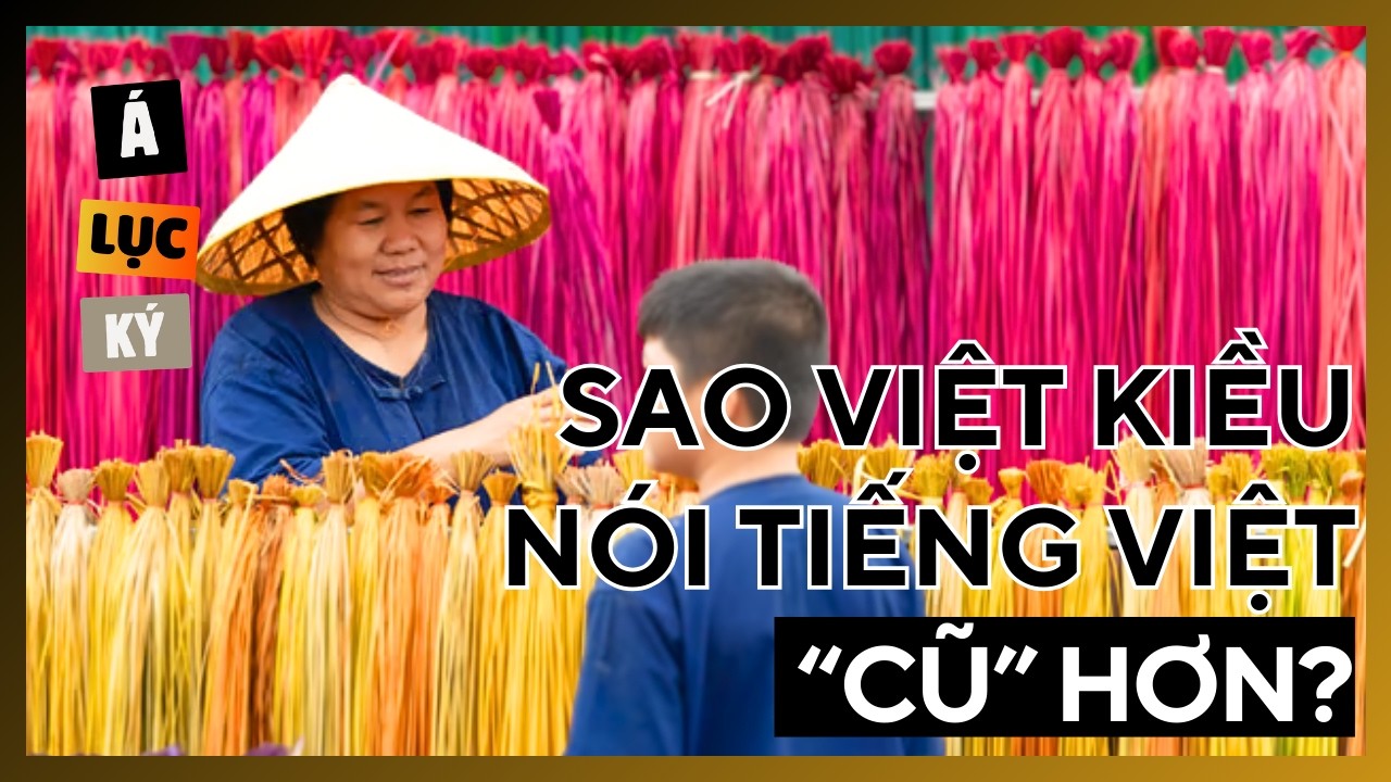 Tiếng Việt Hải Ngoại Đang 'Đứng Yên' — Còn Tiếng Việt Trong Nước Đã Đi Đâu?