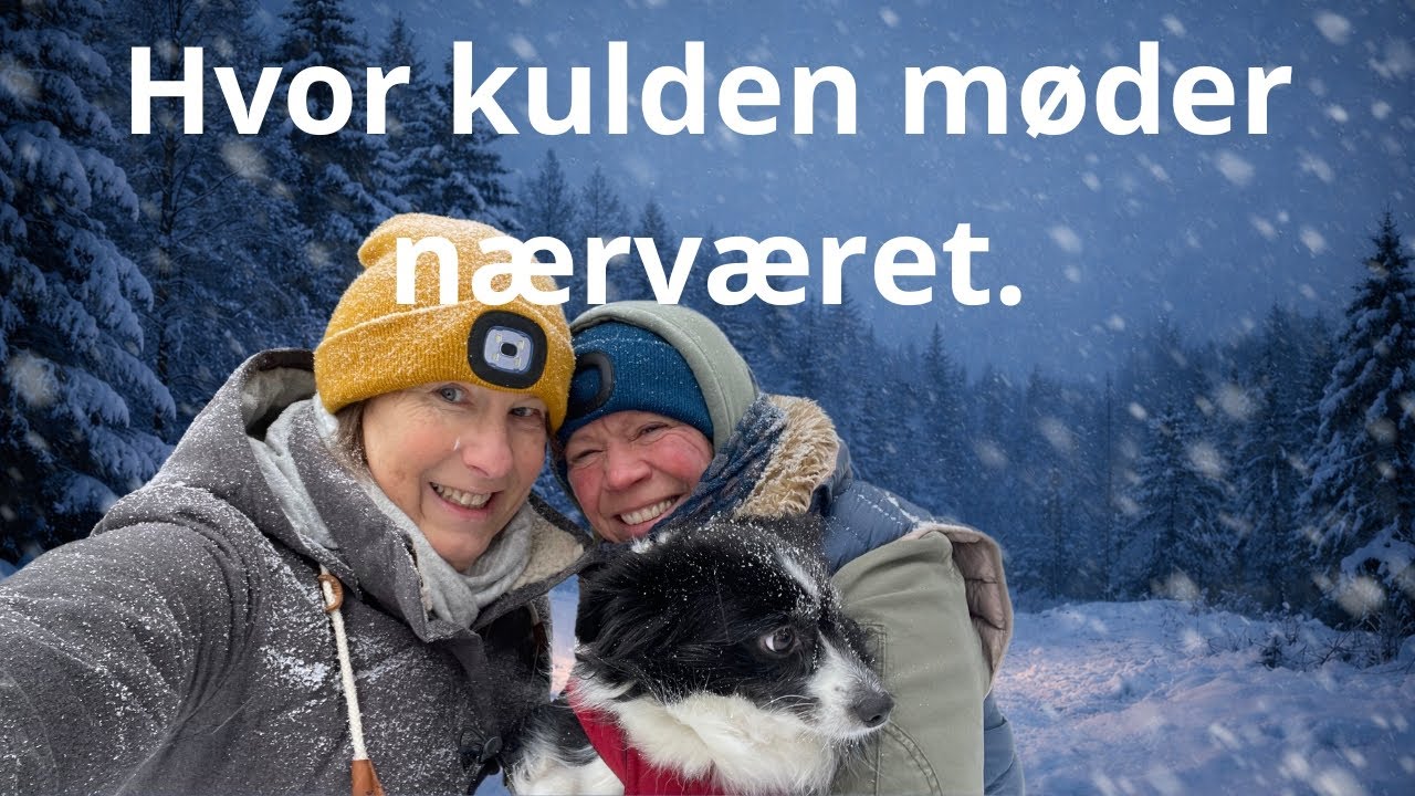 Når vinteren kalder og året går på hæld - Nyd din egen hjemmebiograf i autocamperen