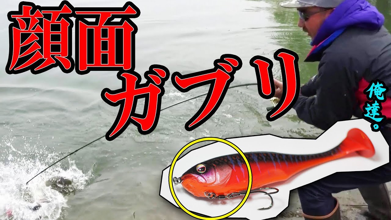 ダンクルが喰われまくるシーズンが始まってた【淀川】