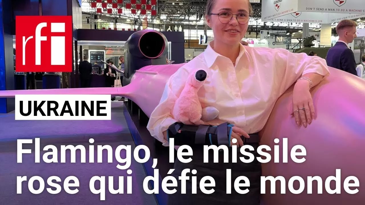 Guerre en Ukraine : le missile Flamingo, star du salon de l'armement Eurosatory &bull; RFI